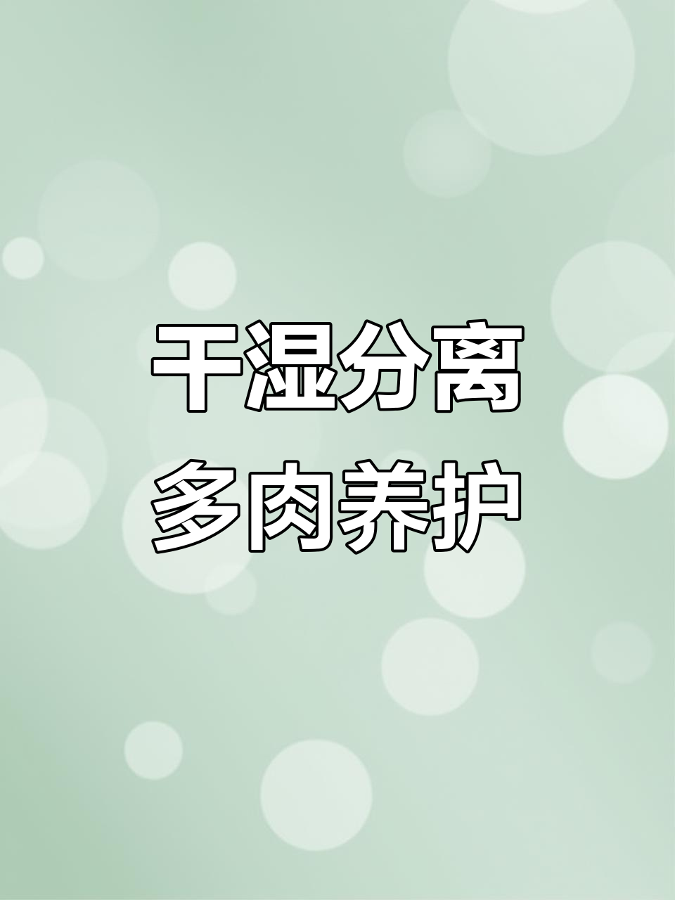 多肉造景干湿分离技巧,打造健康植物环境