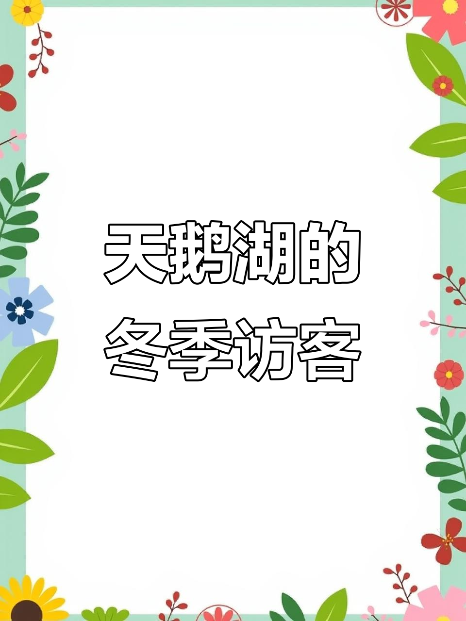 秋冬交替,天鹅湖迎来贵客,生态美景尽显