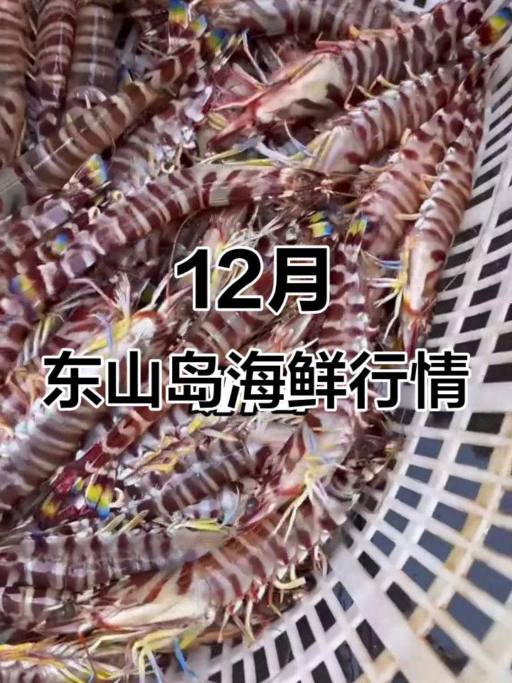 12月10日东山岛海鲜大揭秘:石斑鱼、九节虾价格如何?