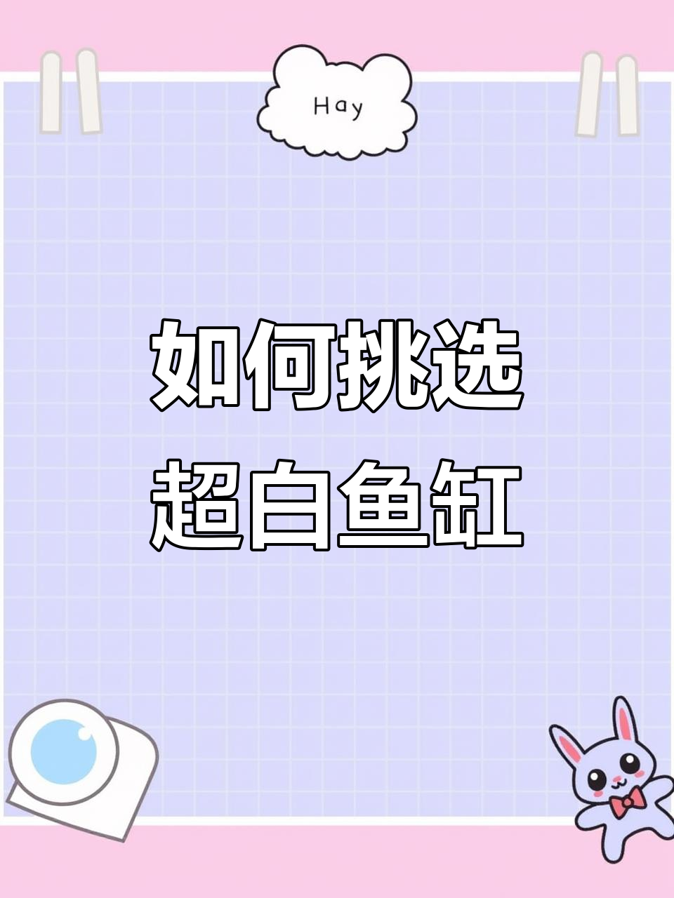 买鱼缸避坑指南,标准尺寸最省钱!