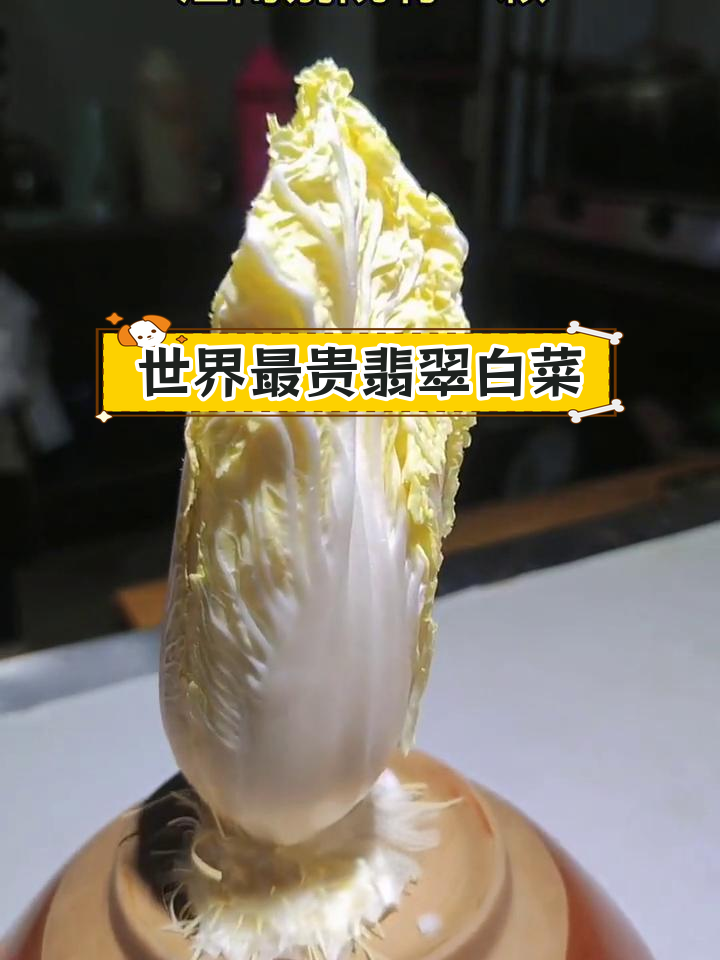 台北故宫的翡翠白菜:价值连城的镇馆之宝