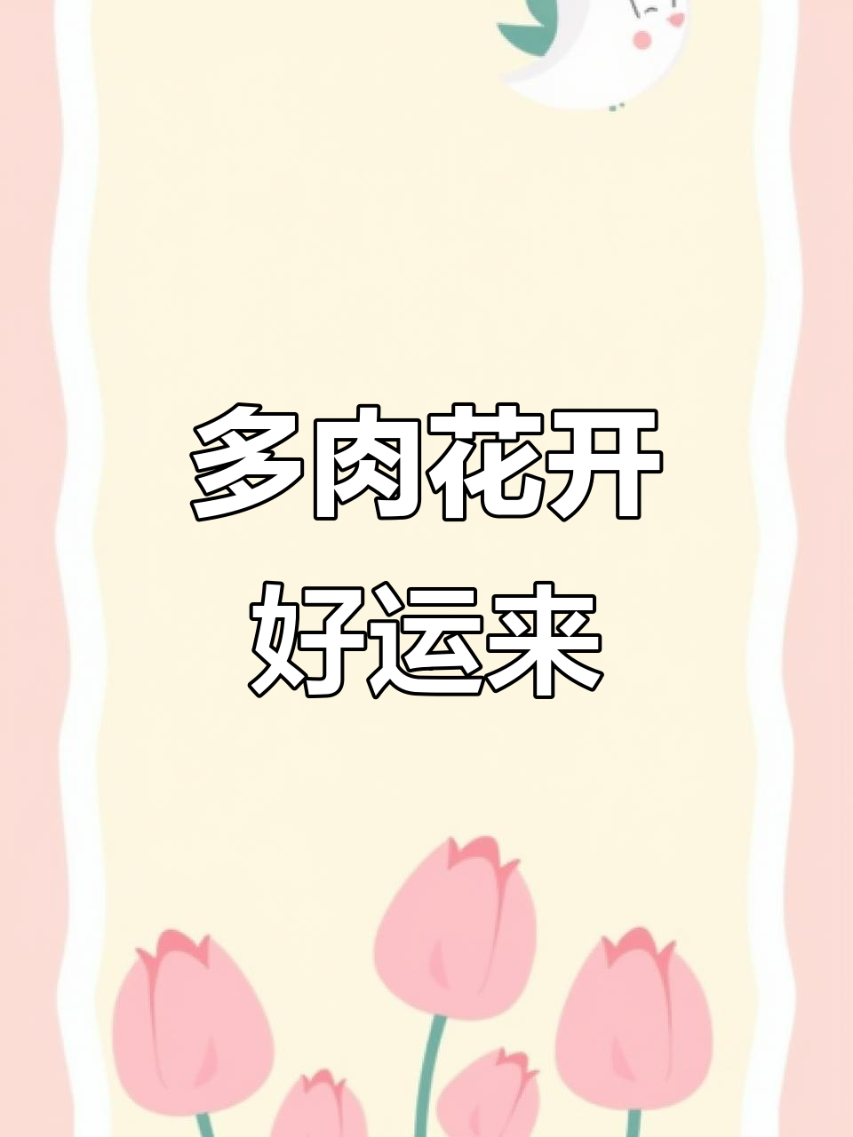 摇钱树开花,多肉治愈心情大好