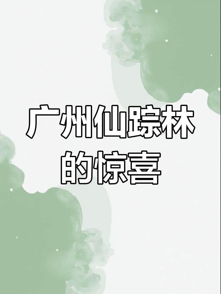 广州仙踪林奶茶店,深圳必去的味道再现!