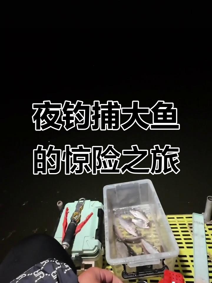 夜钓挑战:2小时捕捉大鱼,路亚高手的精彩时刻