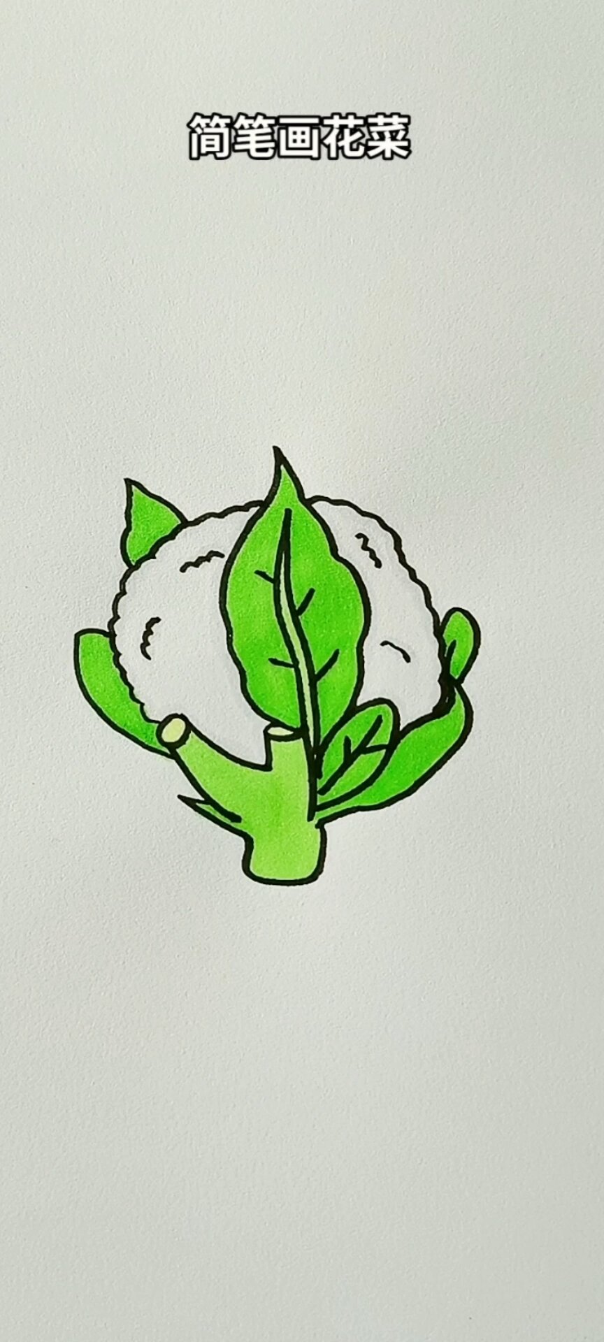 简笔画花菜 简笔画 简笔画教程