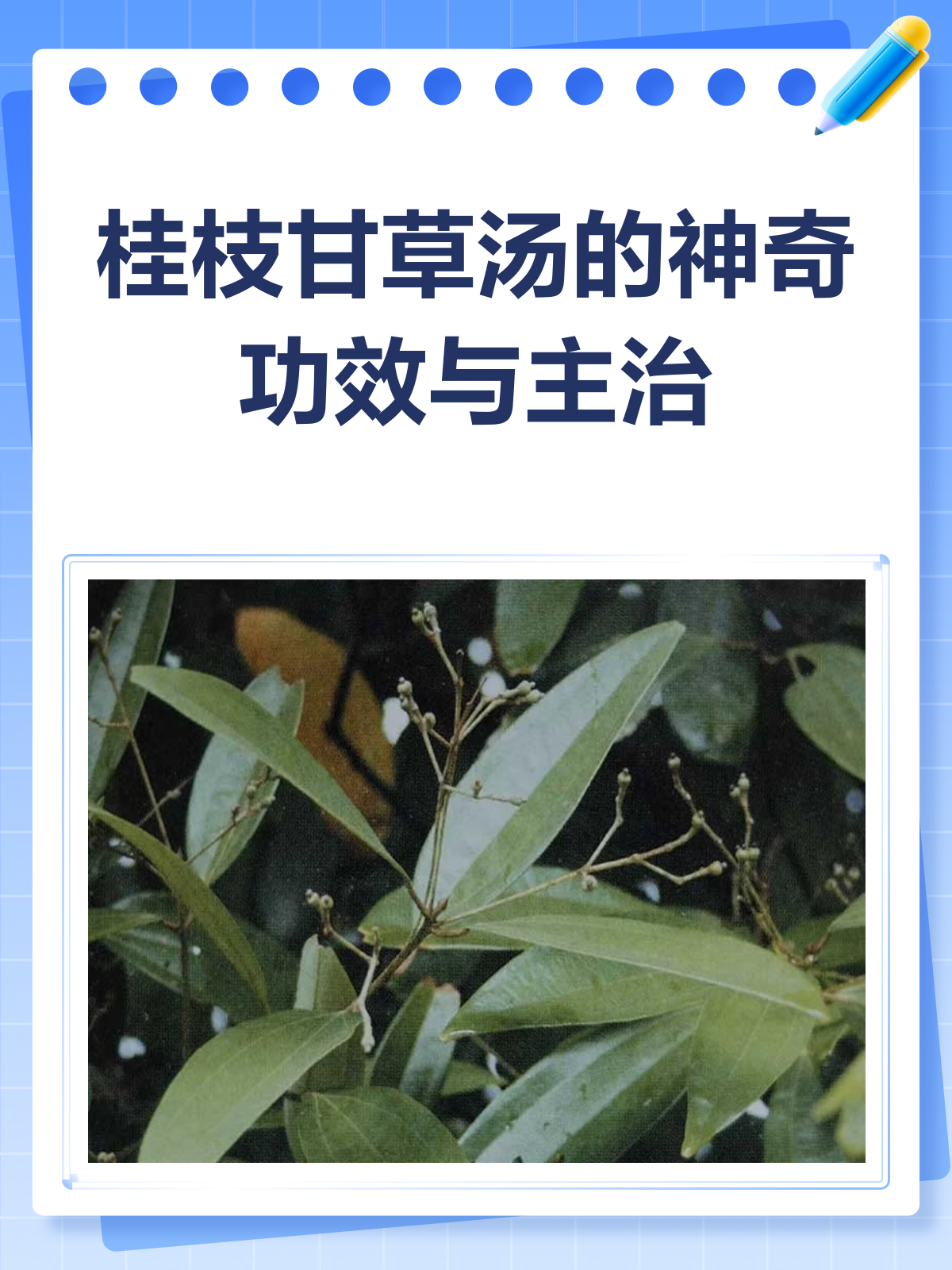 桂枝甘草汤,心脏守护神还是胃病克星?