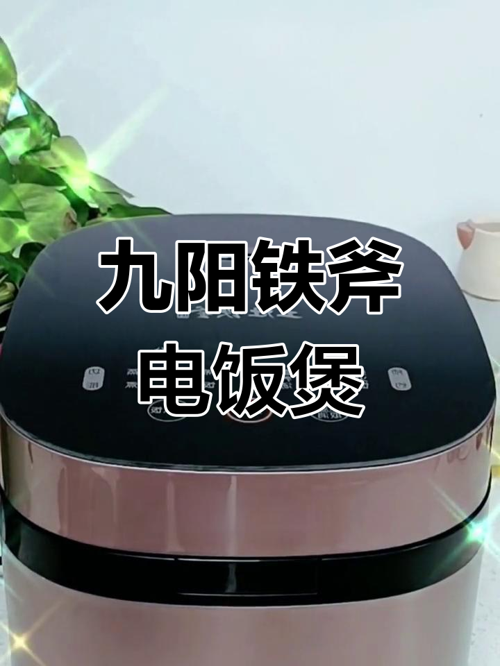 九阳土灶铁釜电饭煲:柴火饭、营养汤一应俱全,轻松做出美味佳肴