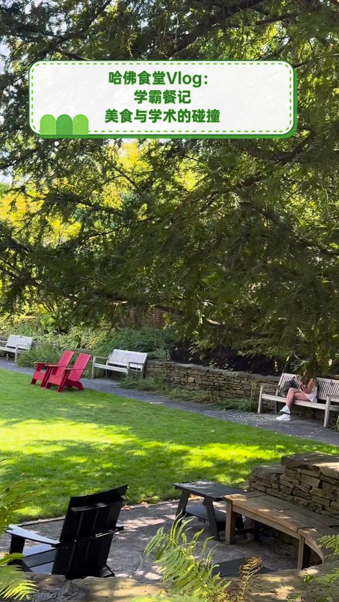 哈佛食堂Vlog:学霸餐记,美食与学术的碰撞