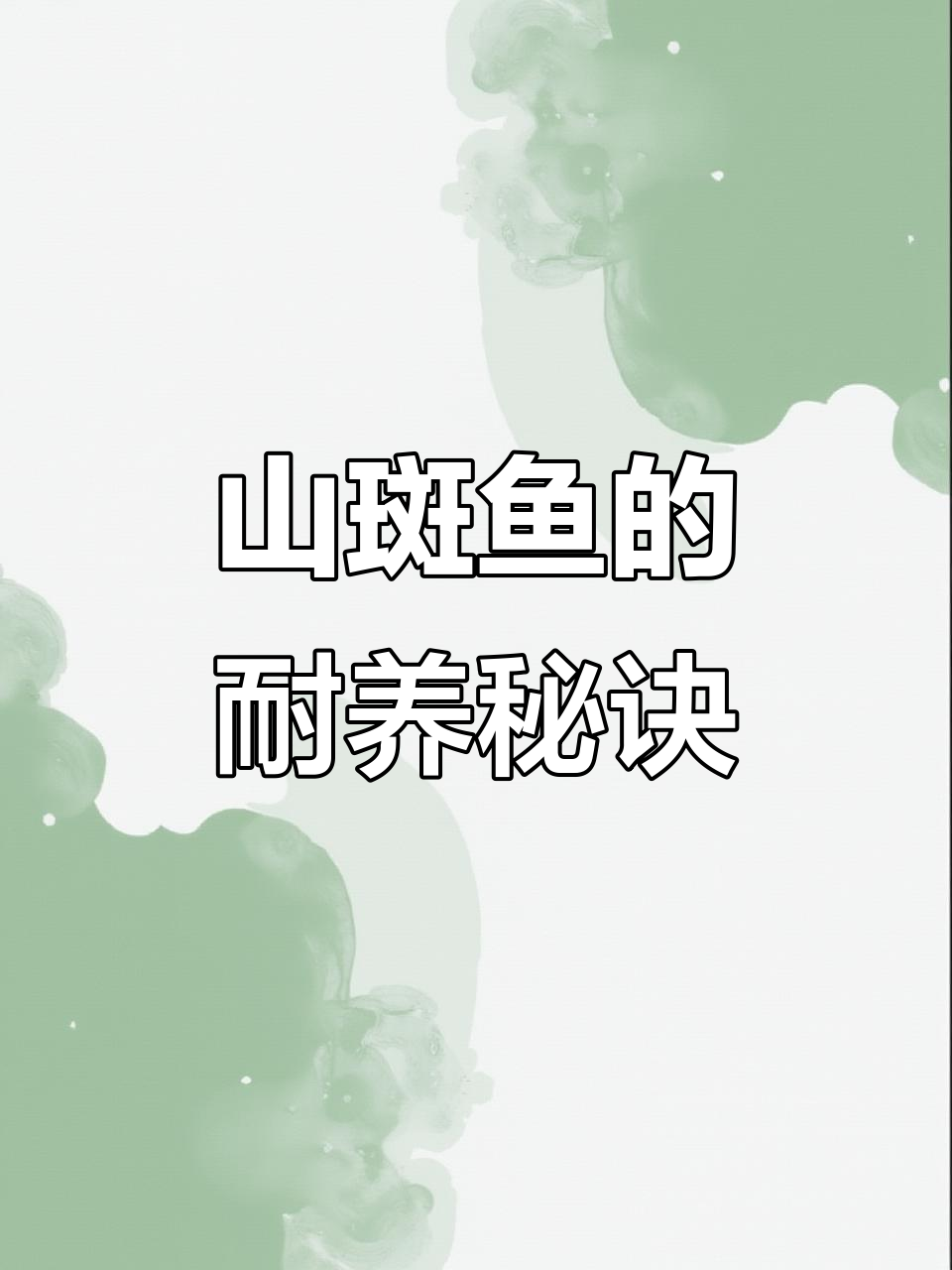 山斑鱼离水能活24小时,养殖干鱼超省心