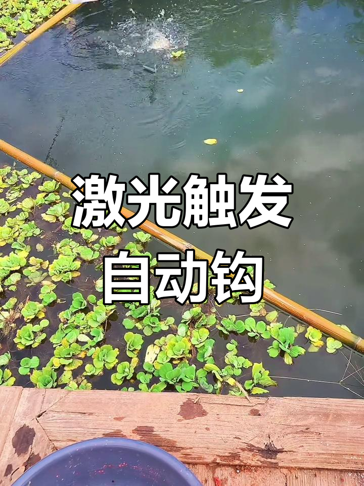 自动钓鱼神器,轻松钓上鱼