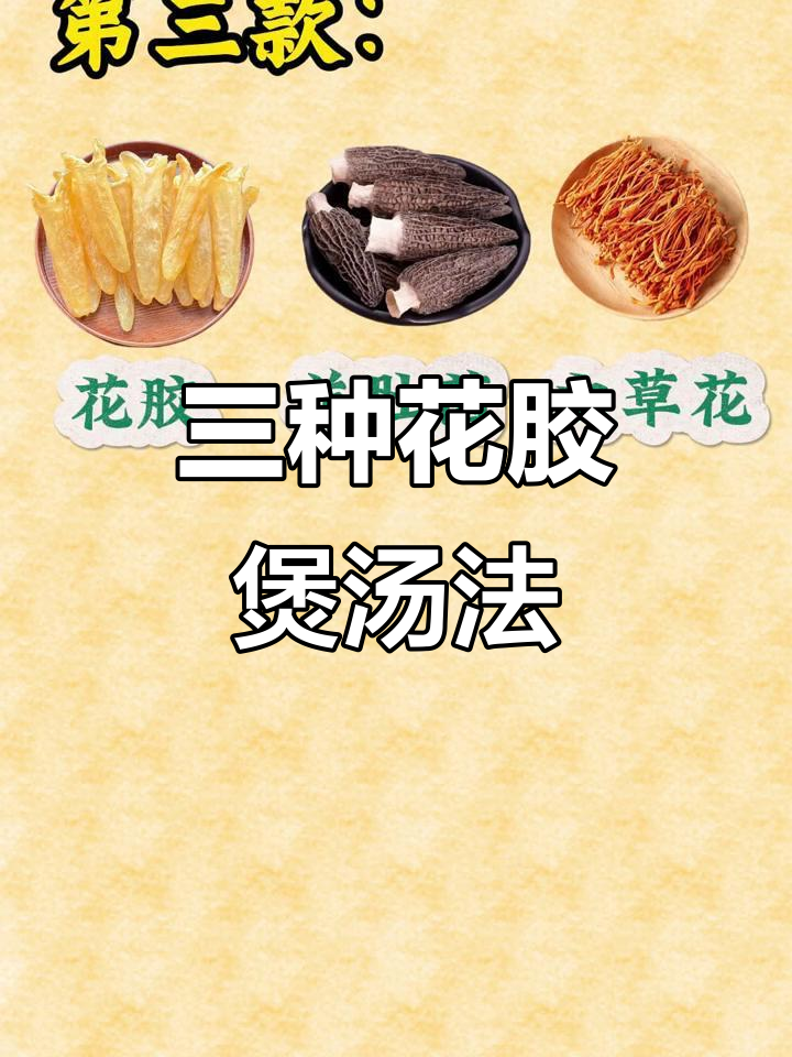 花胶搭配指南,三款经典汤品轻松搞定
