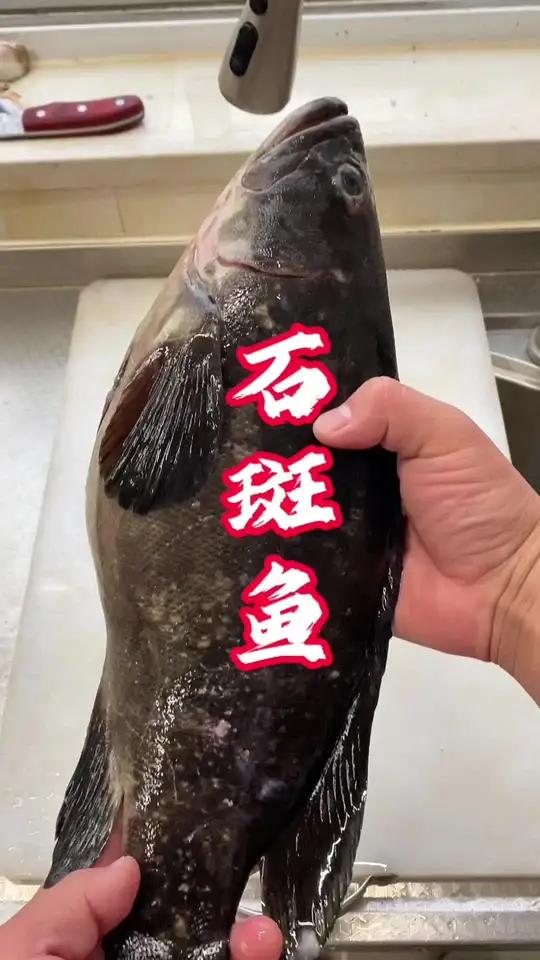 石斑鱼,养殖的,好像叫老虎斑,还是龙胆石斑,南方鱼,在我们北方这边养殖的,没吃过尝一尝,确