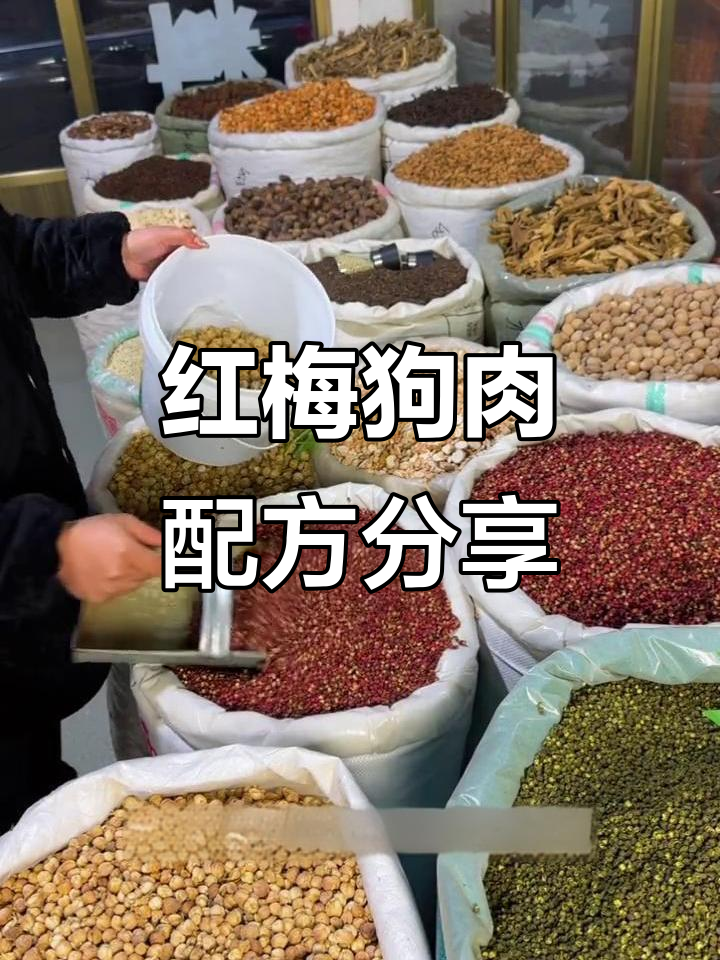 红梅狗肉配方分享