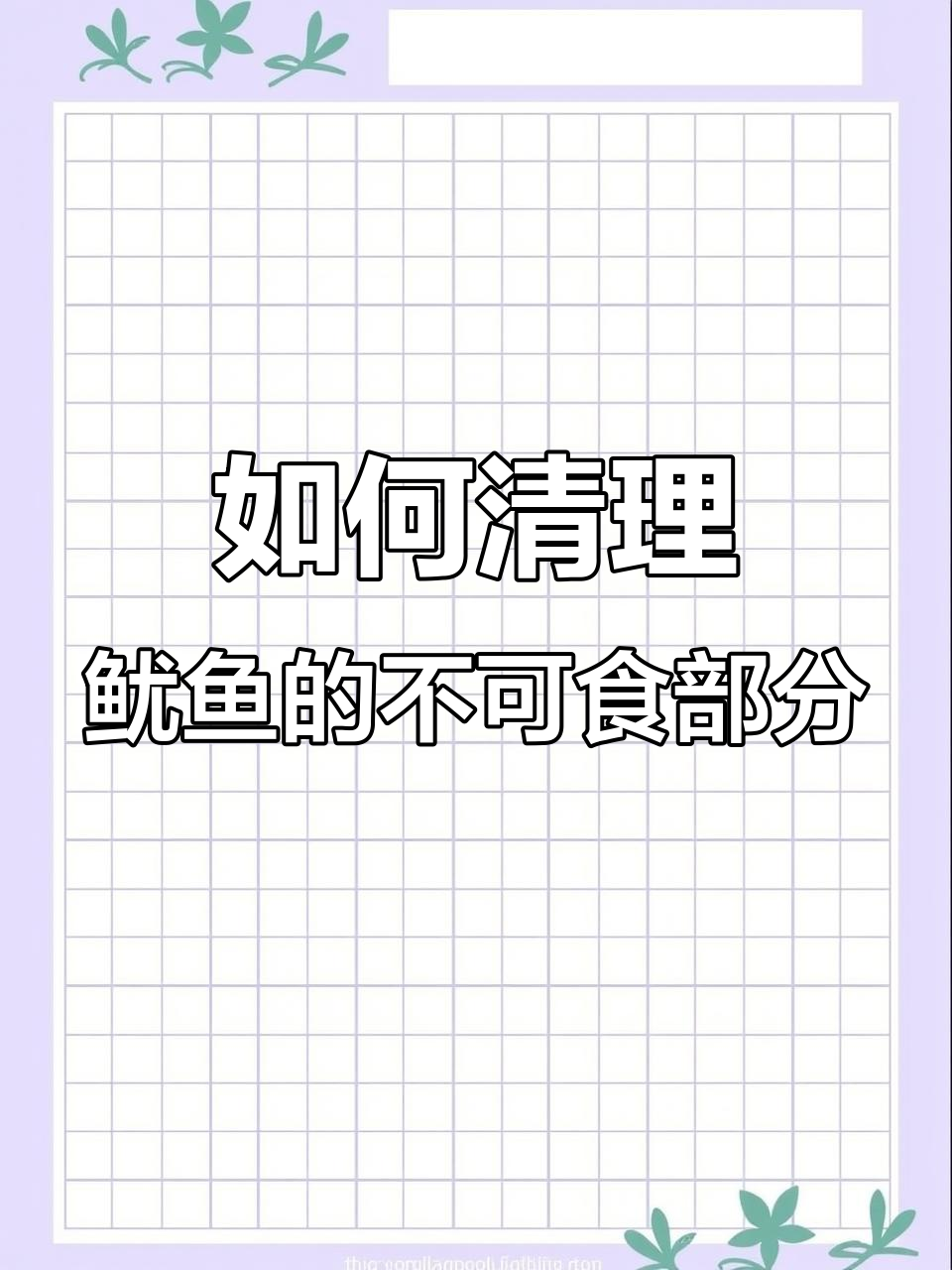 鱿鱼清洗技巧：哪些部位不能吃，如何处理内脏和眼睛
