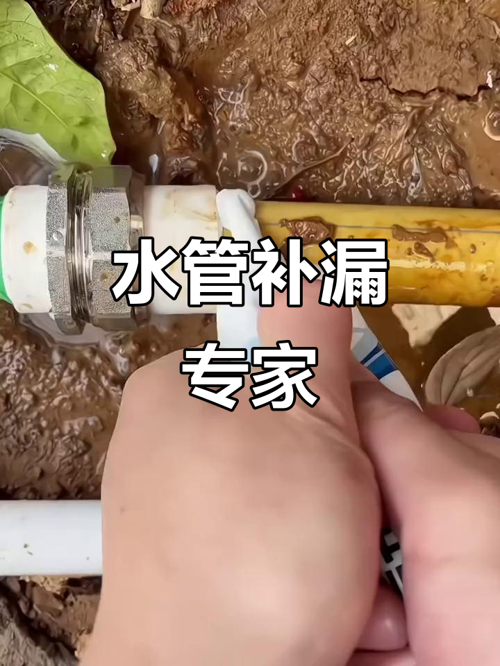 鱼缸、管道漏水?快速修复,确保不漏一滴!
