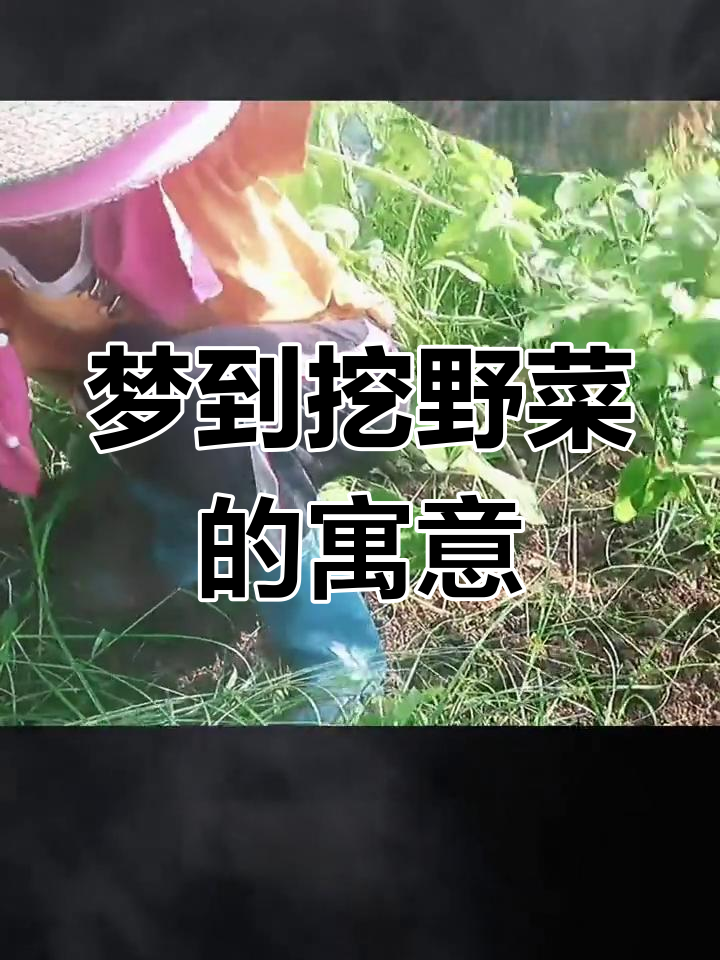 梦见挖野菜的含义解析