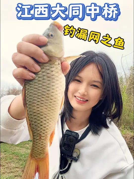 南宁近郊江西镇大同中桥探钓,之前因为发大洪水鱼塘的鱼跑出来没被钓完,今天来捡个漏