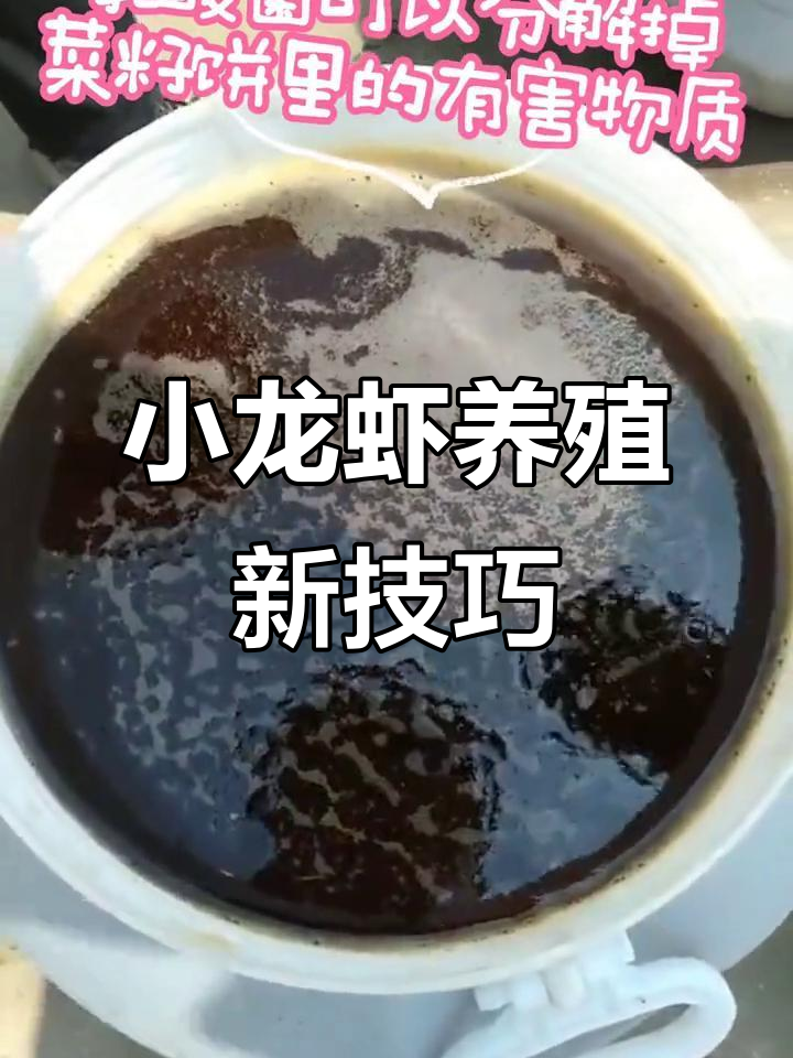 乳酸菌发酵菜籽饼,提高小龙虾饲料利用率