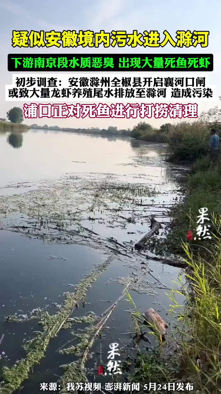 安徽境内污水进入滁河,下游南京浦口段水质恶臭,大量鱼虾死亡