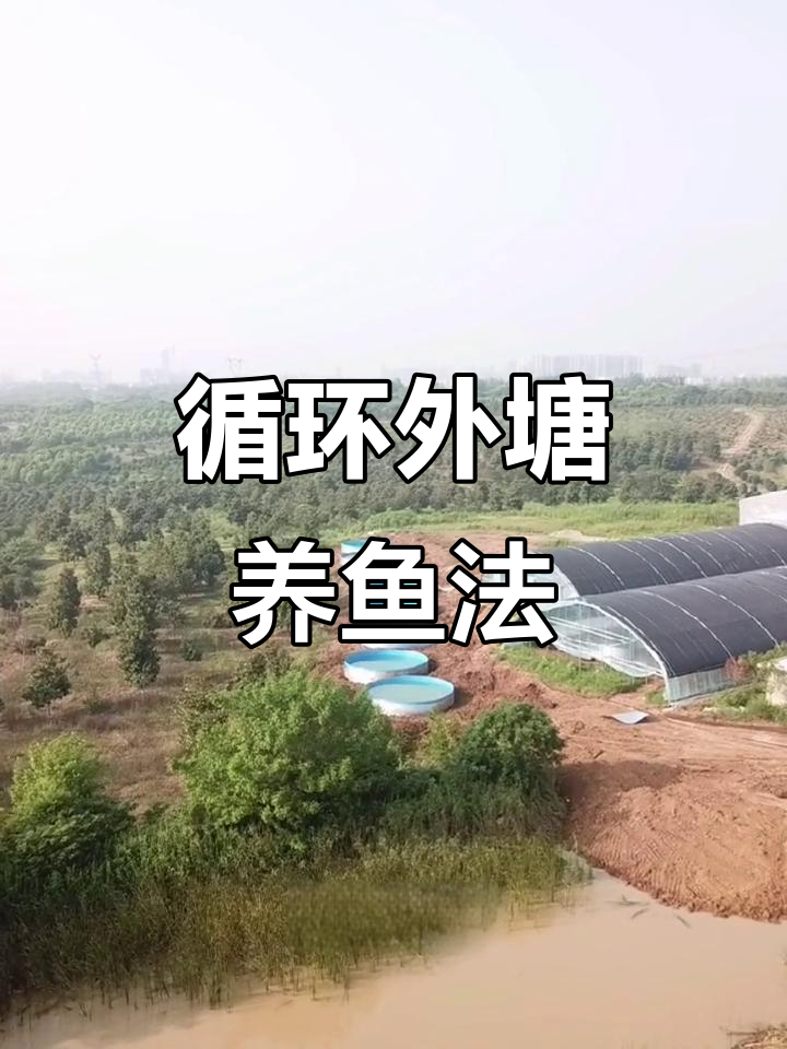 外塘鱼菜共生系统揭秘:零换水、高密度养殖新模式