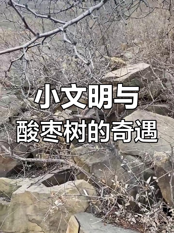 酸枣树下藏精品,小树桩盆景惊艳登场