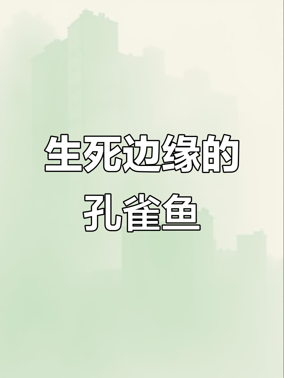 孔雀鱼妈妈边生边吃,小鱼险些丧命,生命真是一场奇迹
