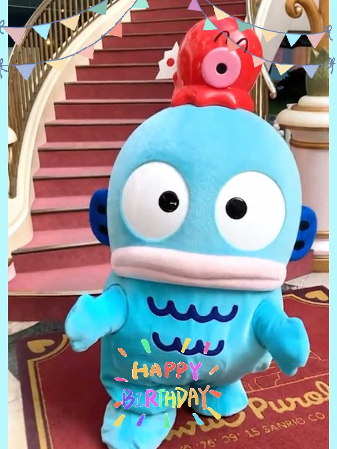 3.14三丽鸥丑鱼生日祝小丑鱼生日快乐呀