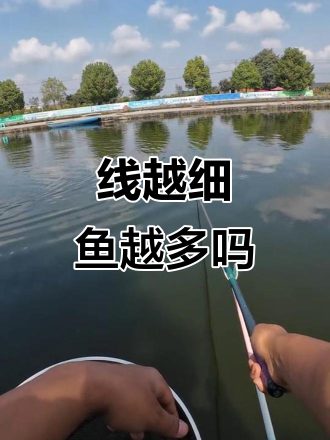 细线真的能提高钓鱼效率？我和朋友用不同粗线的钓法对比