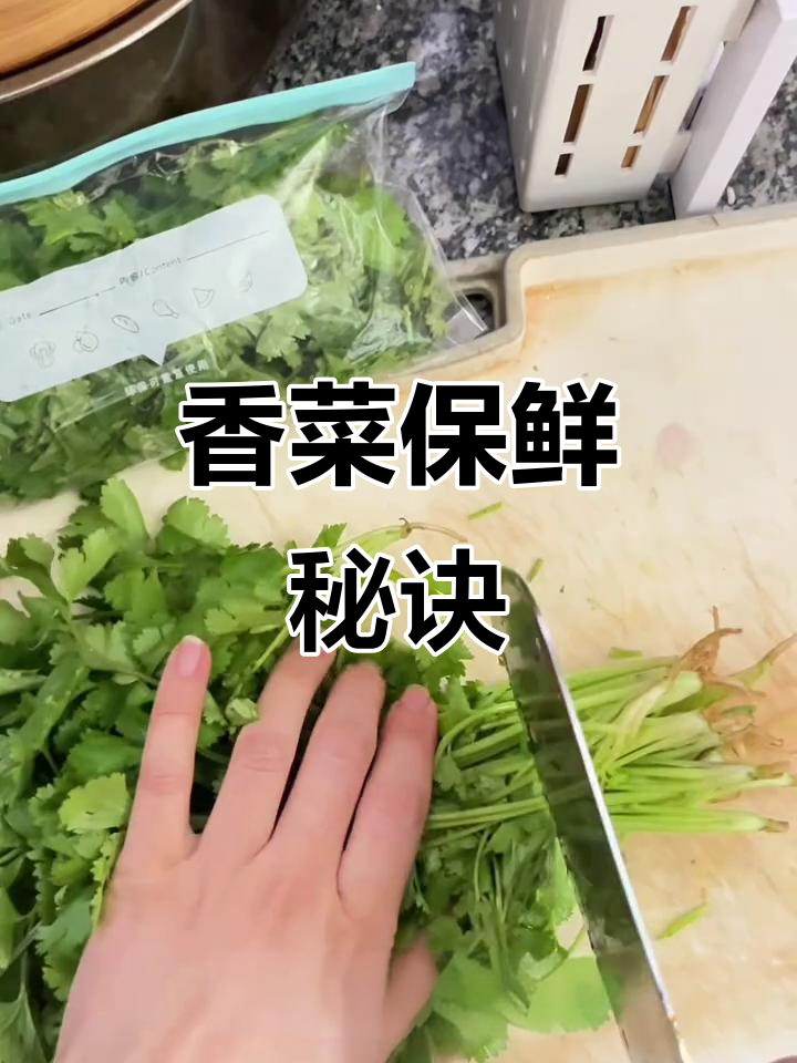 香菜冷冻法,轻松保存一个月,汤里直接加超方便!