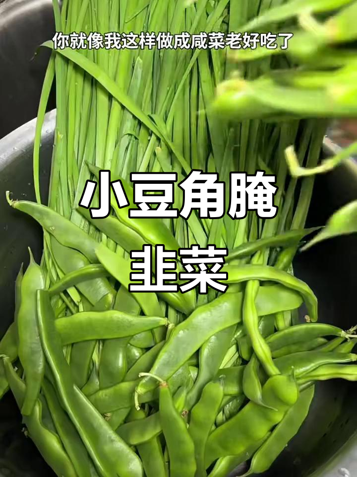 韭菜豆角咸菜新做法,秋天小豆角最合适