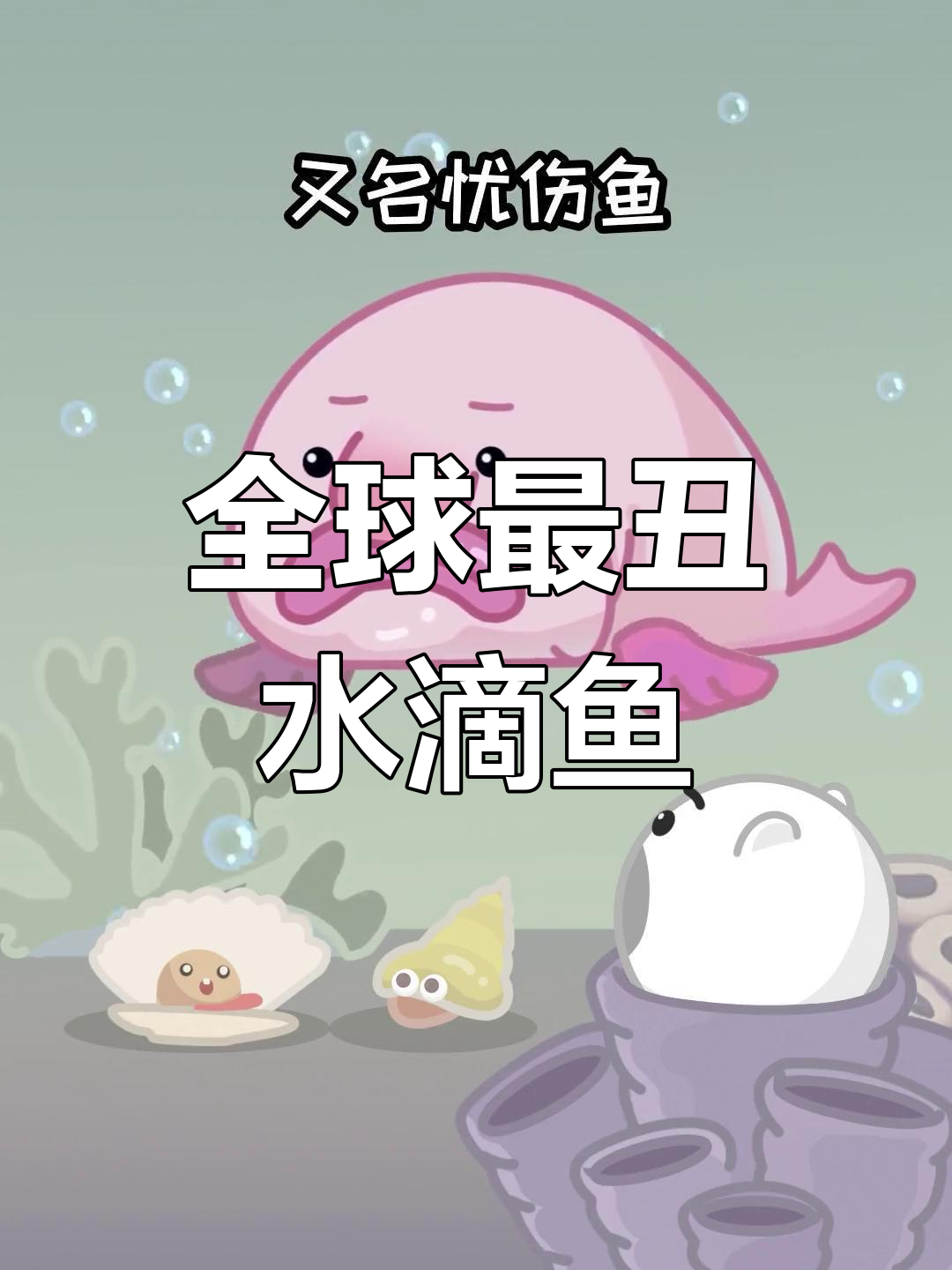 水滴鱼:世界上最忧伤的海洋生物,颜值低谷却成吉祥物