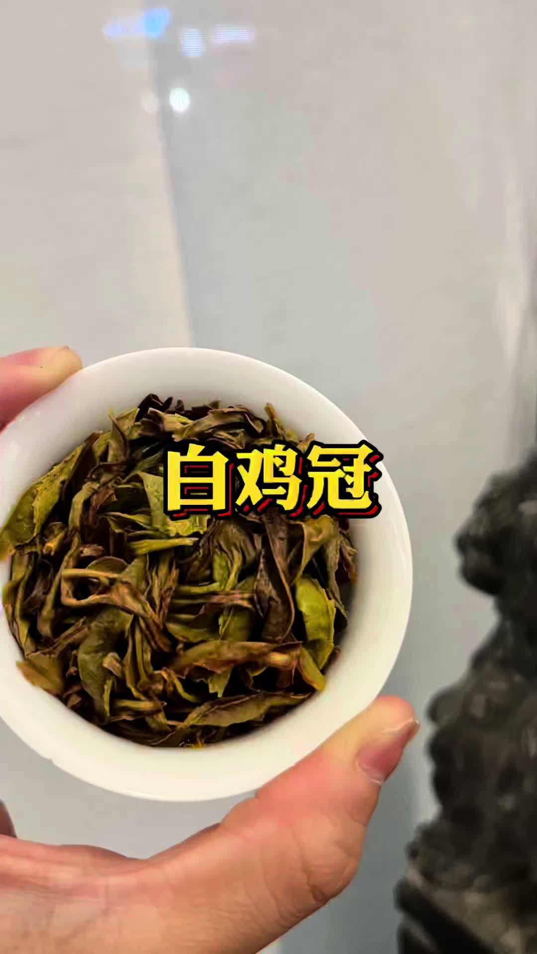 四大名丛 白鸡冠