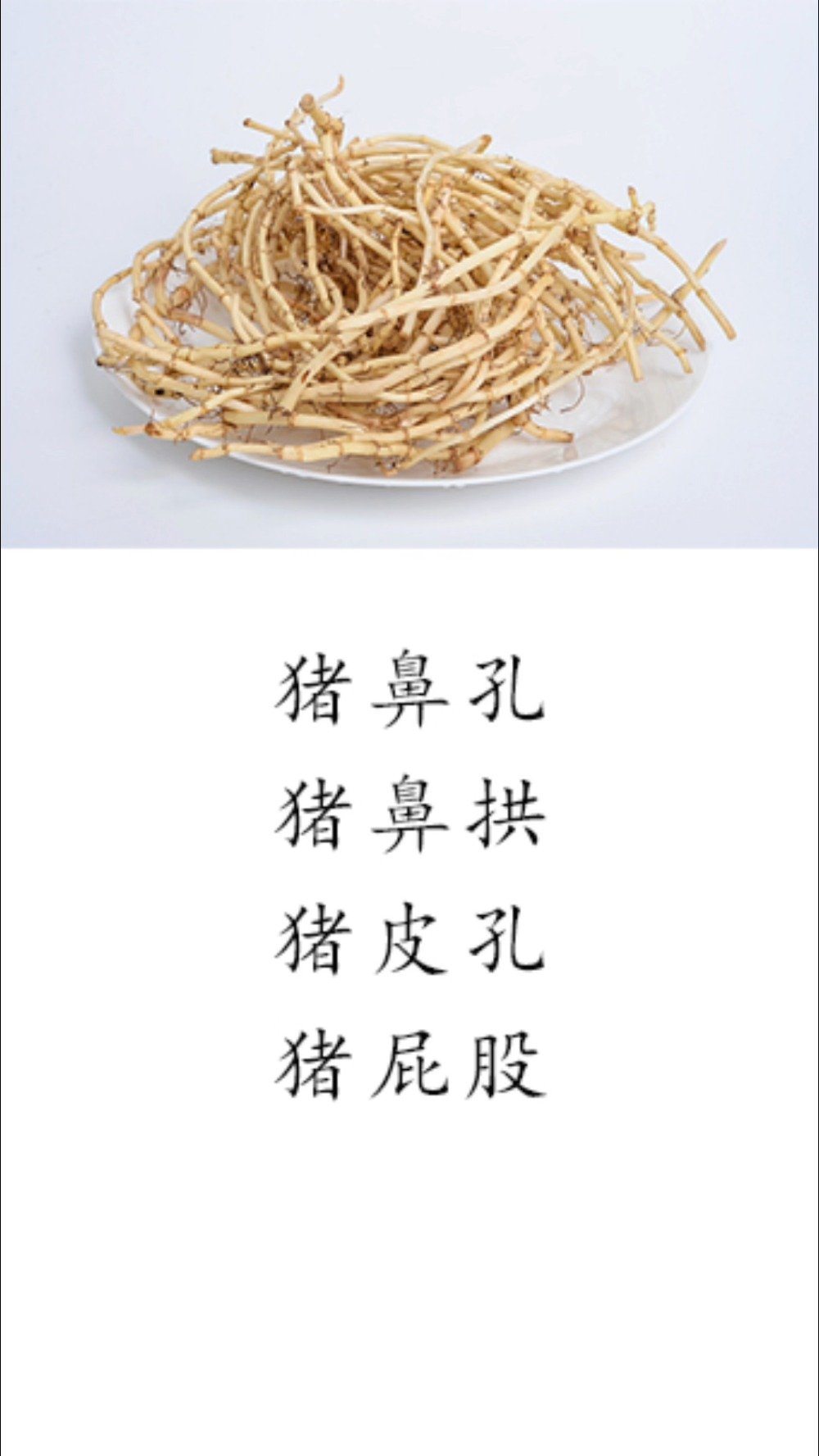 「四川人给蔬菜取名过于好笑」折耳根叫猪鼻孔,香菜叫盐须,空心菜叫ong菜,苋菜叫汉菜,卷心