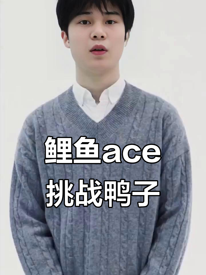 8月来袭！鸭子挡道，鲤鱼ace带你突破重重障碍！