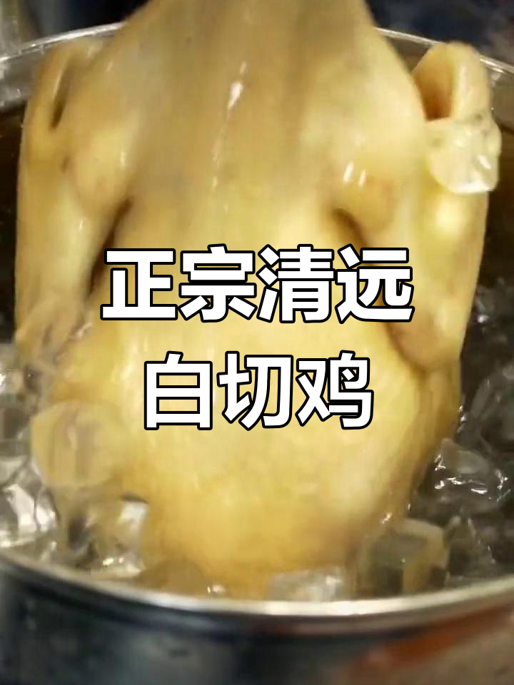 清远白切鸡的独特做法,姜油与鸡肉完美搭配