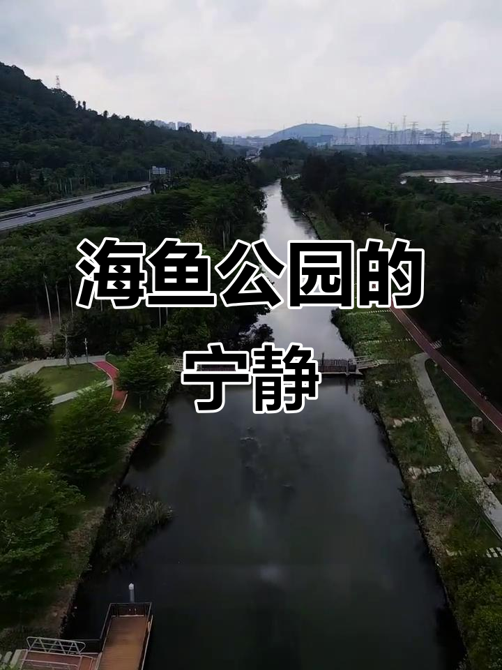 珠海八一社区,海鱼公园静谧休闲,适合放松漫步