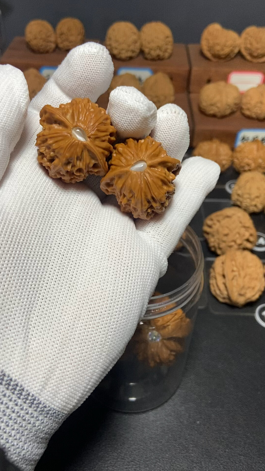 文玩核桃小金鱼
