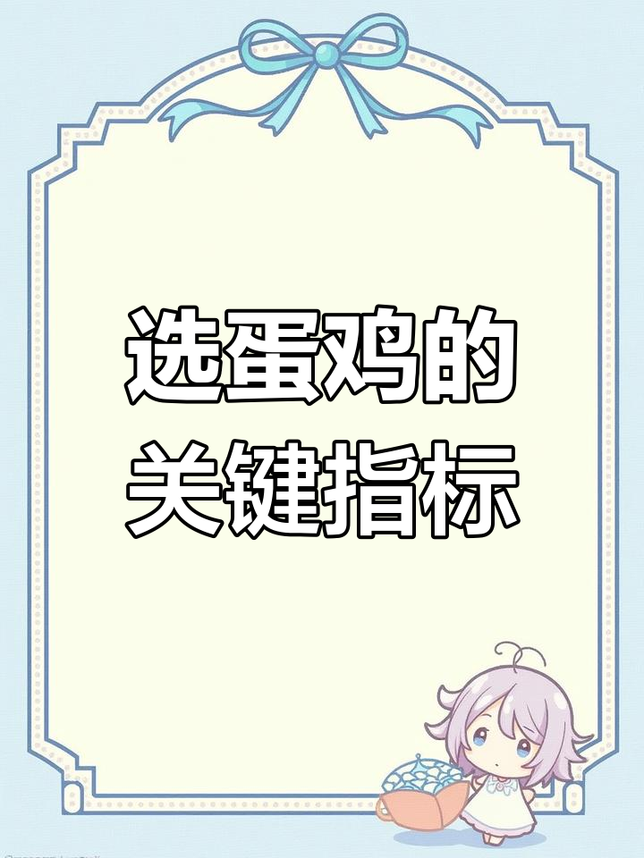 如何挑选青年鸡?体重、体型和均匀度全解析