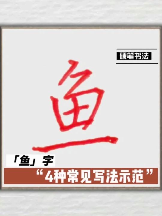 “鱼”字常见写法视频示范,可跟练