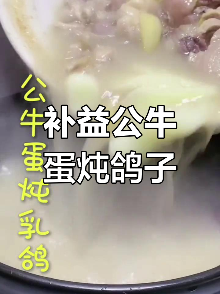 公牛蛋与乳鸽的滋补炖品,养生又美味