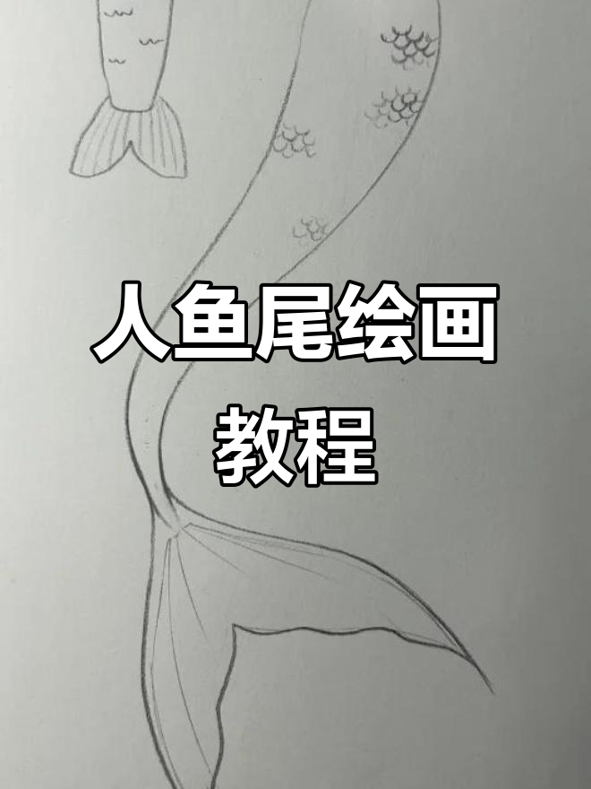 轻松画出可爱人鱼尾巴，步骤详解教你一步步掌握
