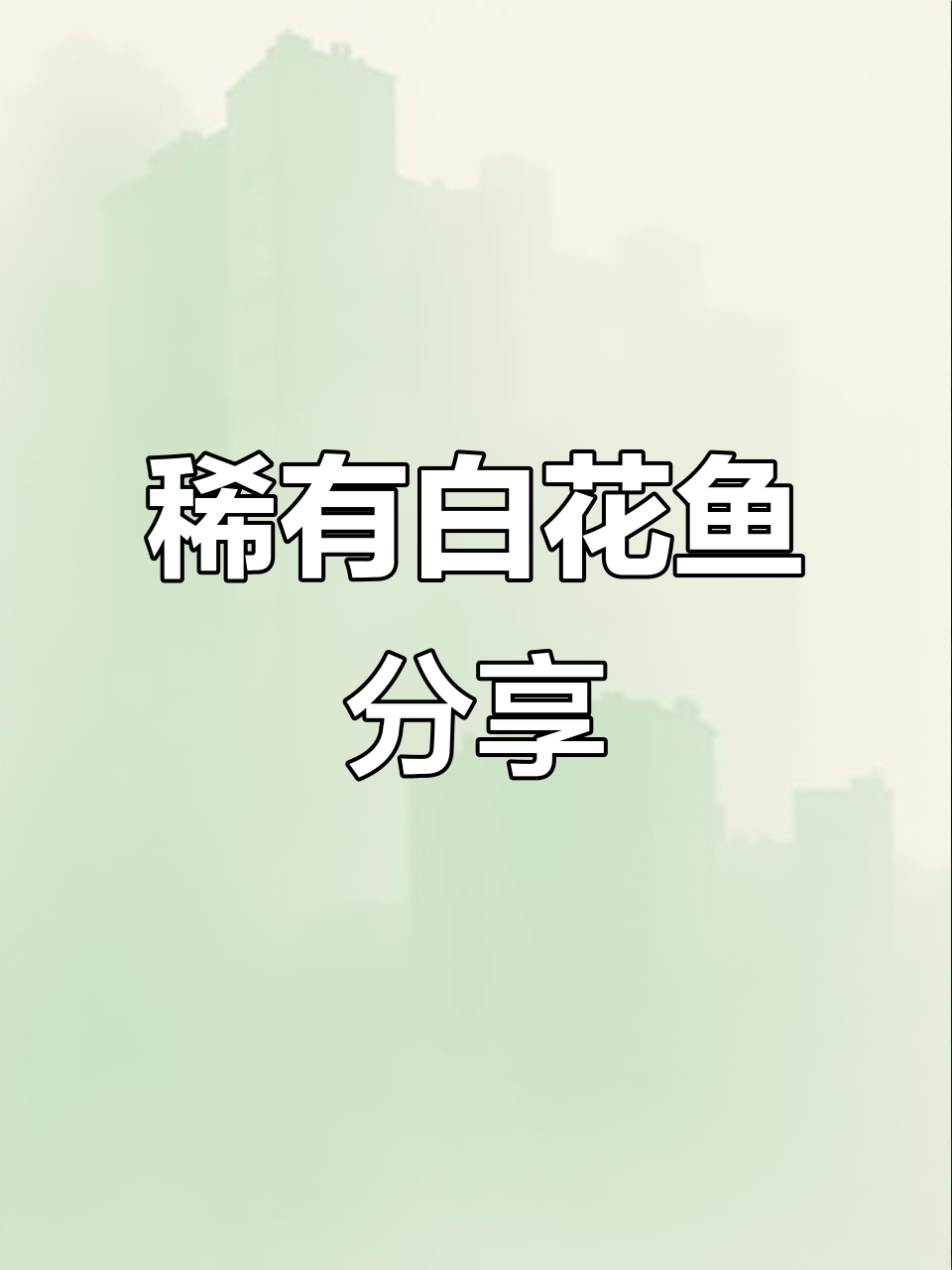 稀有野生白花鱼,纯天然无添加的美味馈赠