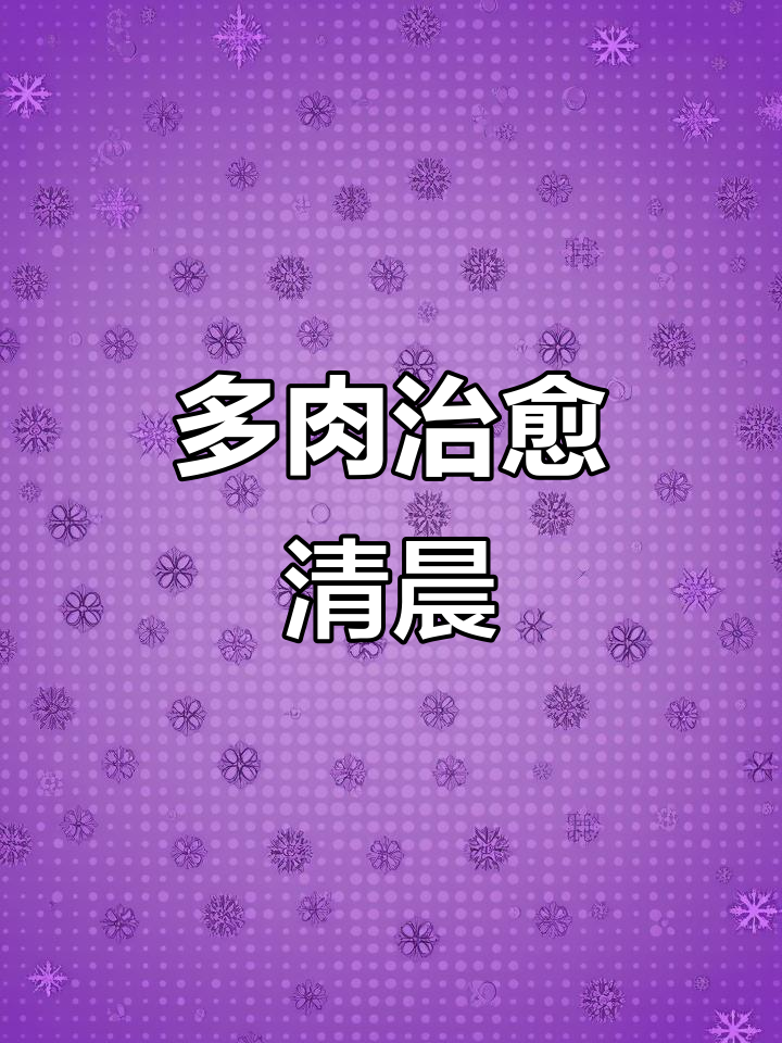 晨露滋润,多肉植物带来美好心情