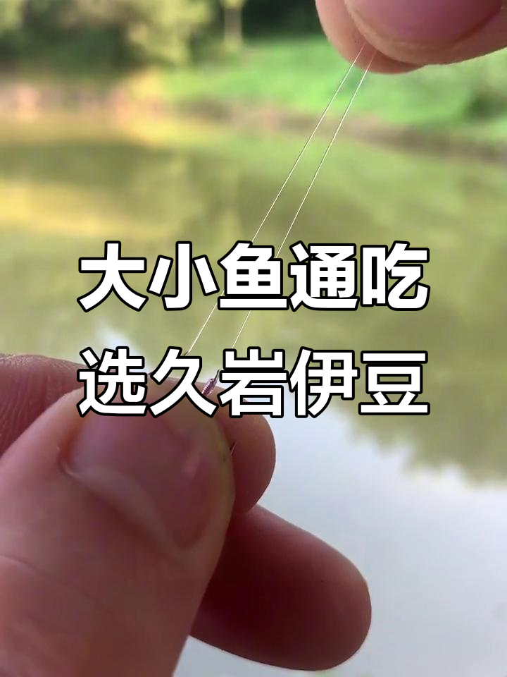 大小鱼都能钓,九盐伊豆钩轻松搞定