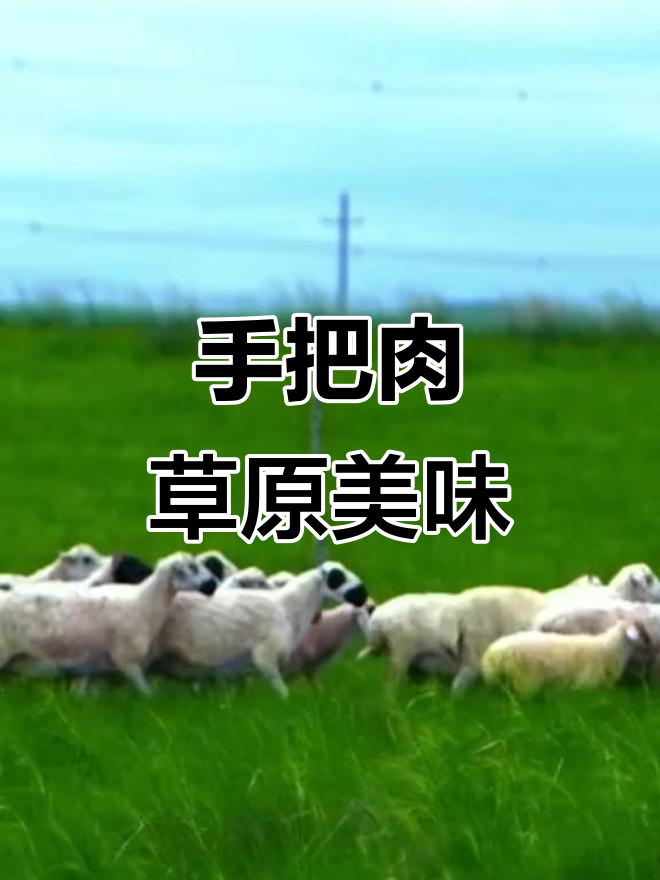 锡林郭勒盟乌珠木沁羊:手把肉鲜香多汁,羊肉爱好者的最爱