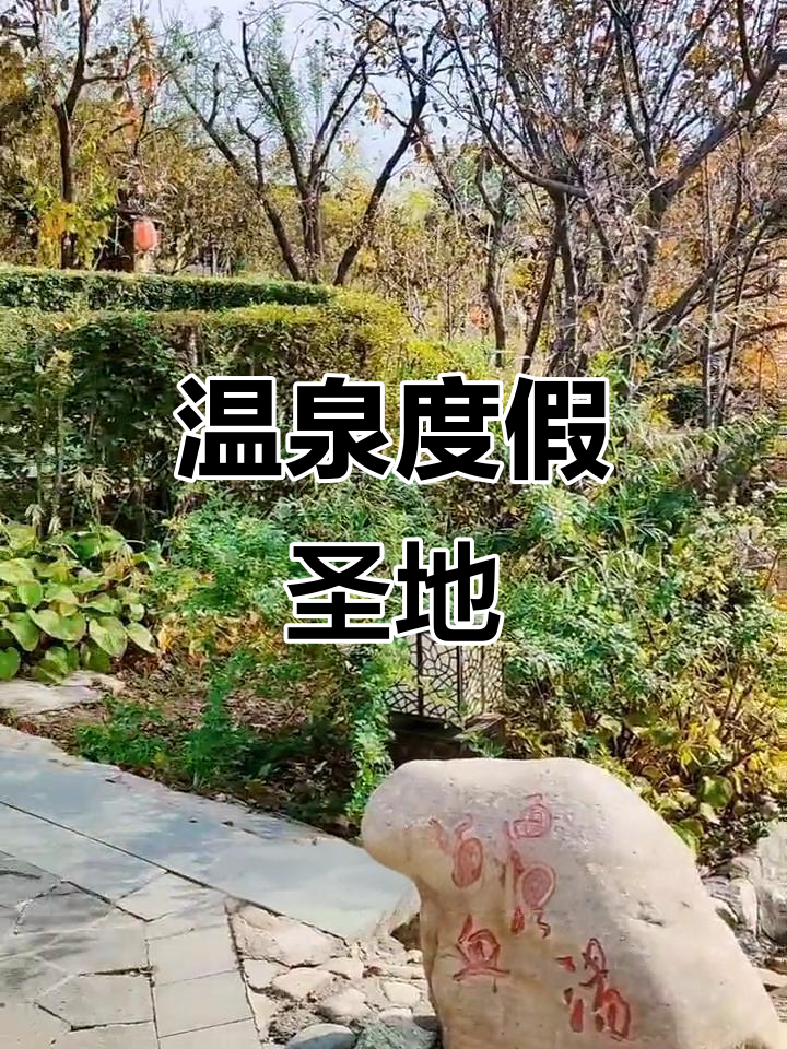 汤泉宫,融合休闲与养生,尽享自然美景的度假胜地