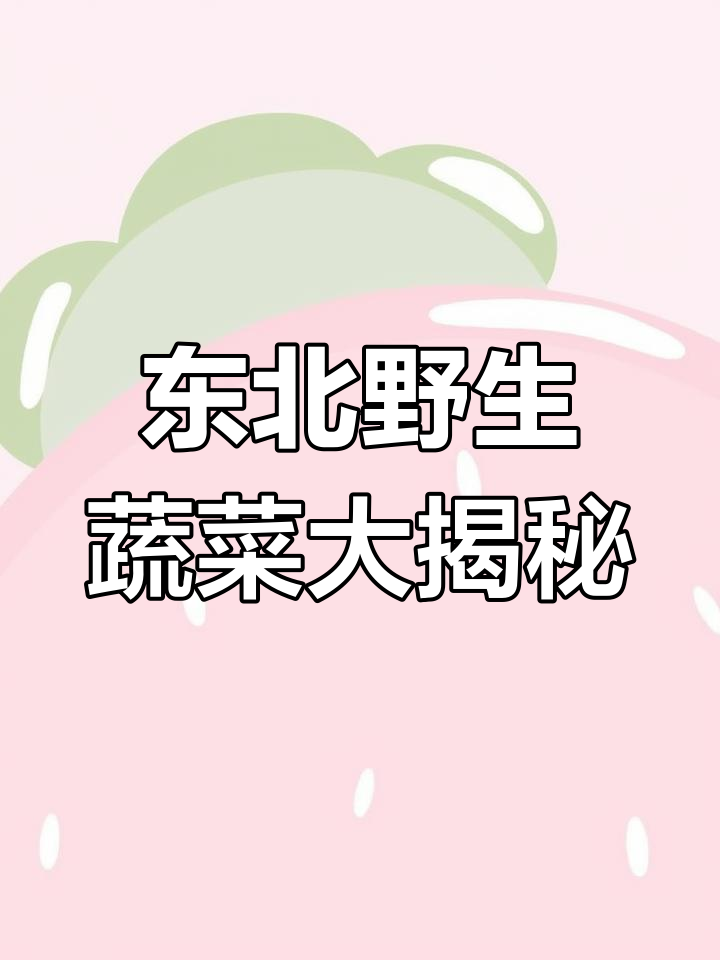 25种东北常见野菜,看看你认识几种?