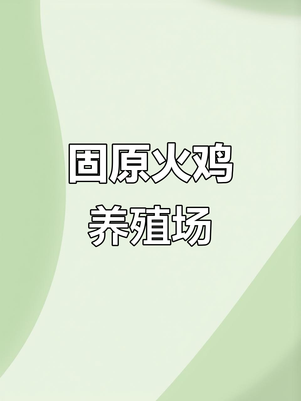 固原市火鸡养殖基地揭秘:呼吸道病原体与疾病防控