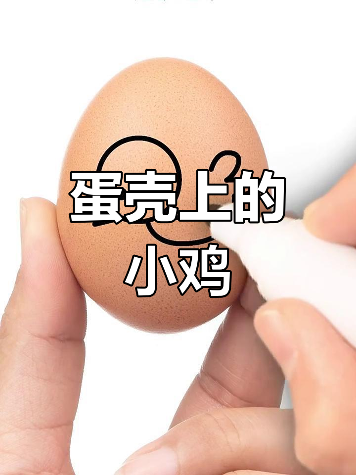 在鸡蛋壳上画小鸡,简单又有趣