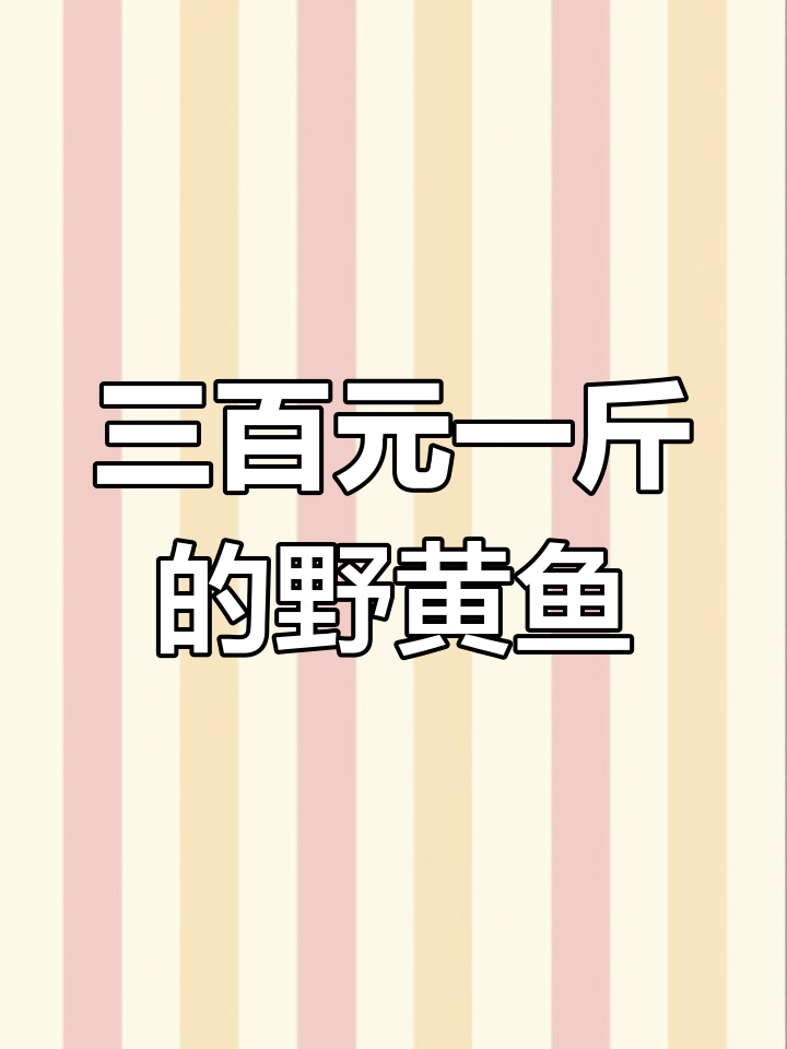 野生大黄鱼,三百块一斤,质量保证假一赔十